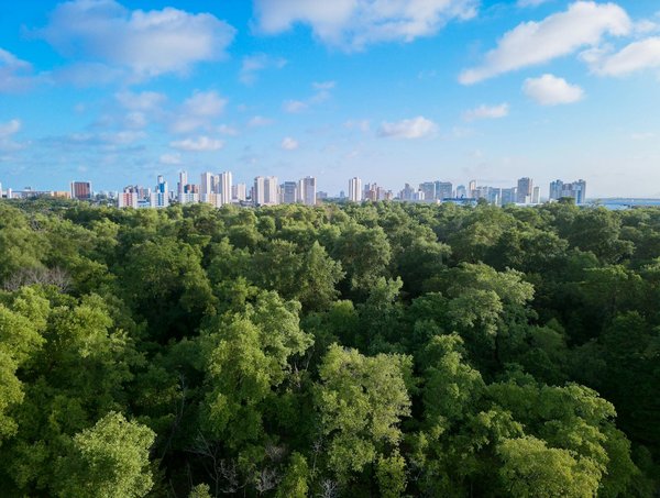 Les Leaders Incontournables du Secteur Bio en France